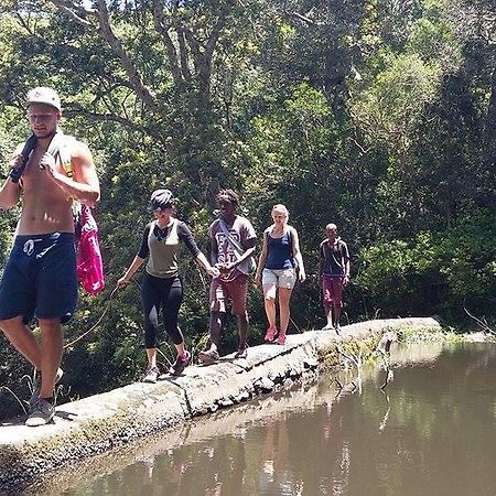 Jungle Monkey Backpackers Hostel Port Saint Johnʼs Εξωτερικό φωτογραφία