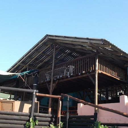 Jungle Monkey Backpackers Hostel Port Saint Johnʼs Εξωτερικό φωτογραφία