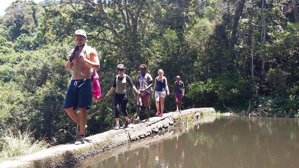 Jungle Monkey Backpackers Hostel Port Saint Johnʼs Εξωτερικό φωτογραφία