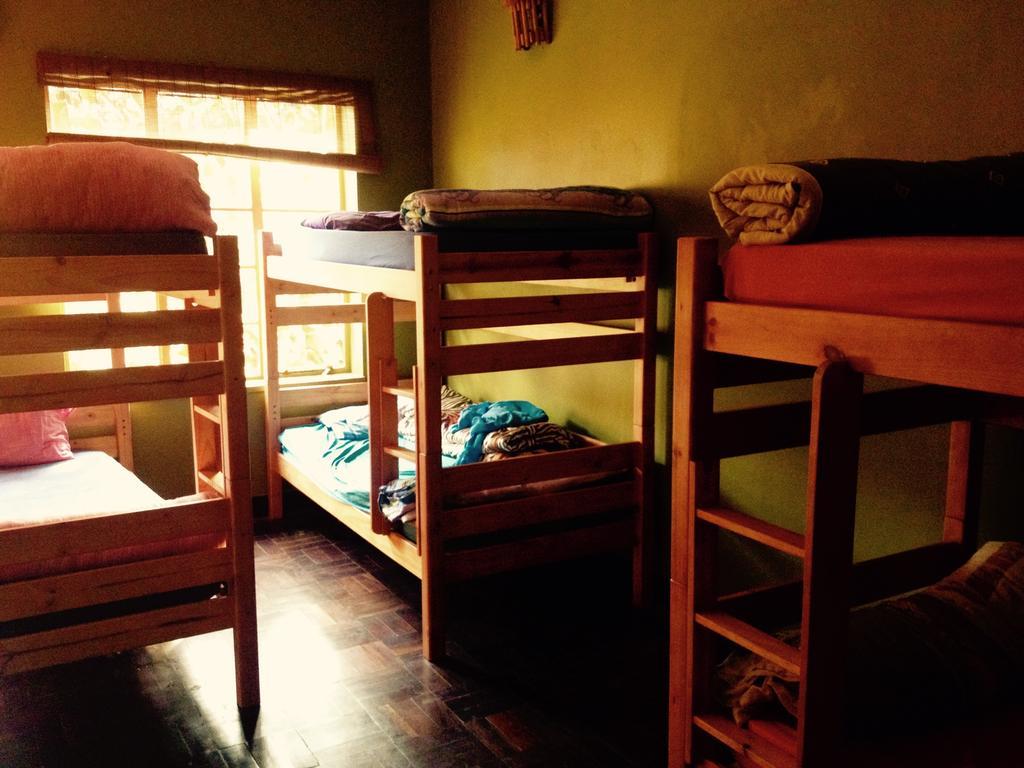 Jungle Monkey Backpackers Hostel Port Saint Johnʼs Δωμάτιο φωτογραφία