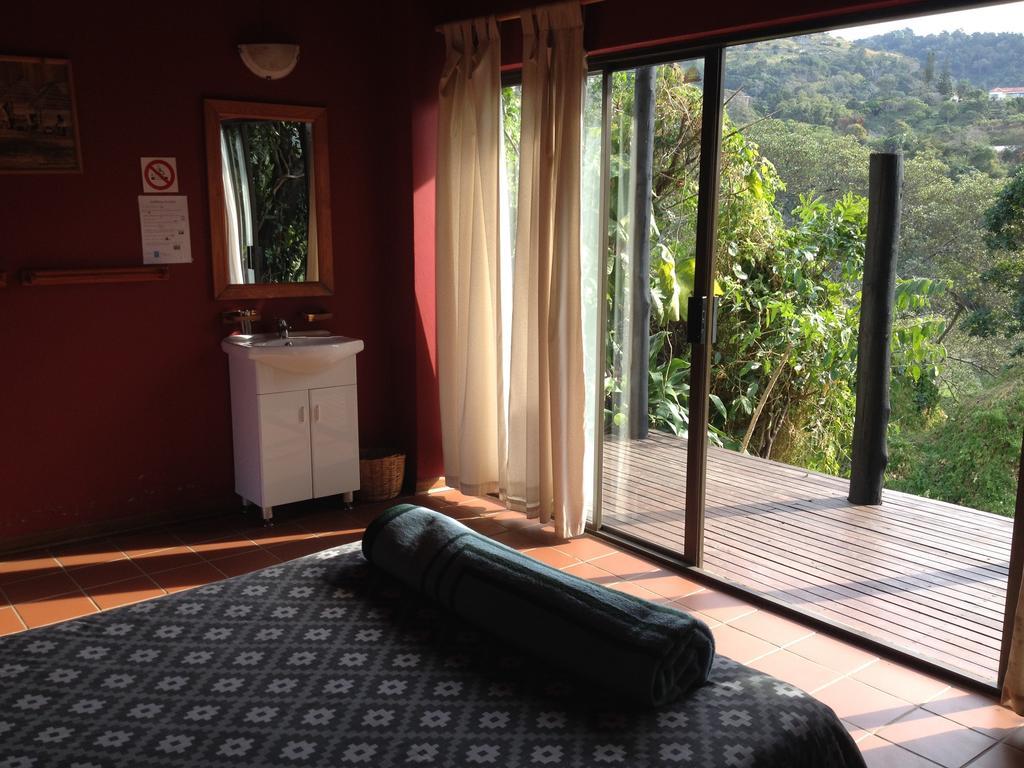 Jungle Monkey Backpackers Hostel Port Saint Johnʼs Δωμάτιο φωτογραφία