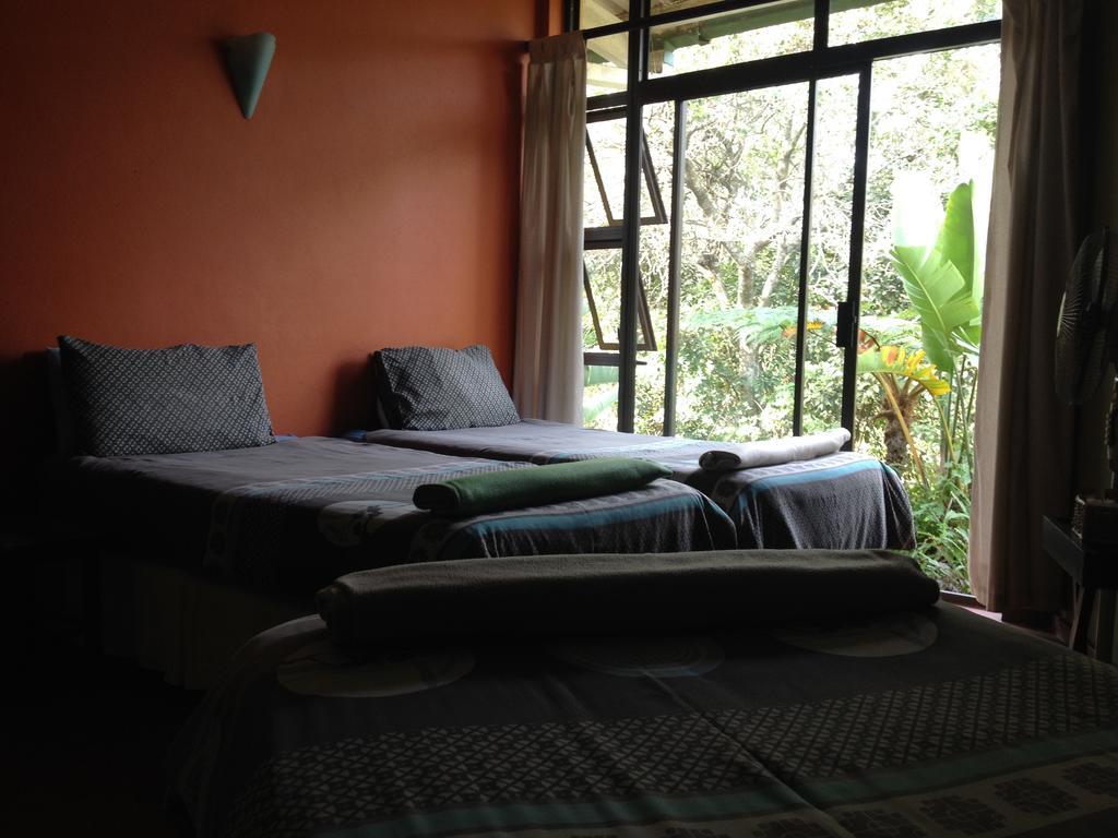 Jungle Monkey Backpackers Hostel Port Saint Johnʼs Δωμάτιο φωτογραφία