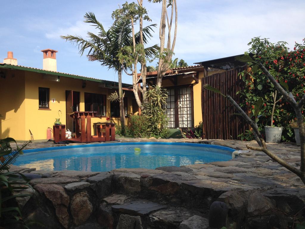 Jungle Monkey Backpackers Hostel Port Saint Johnʼs Δωμάτιο φωτογραφία