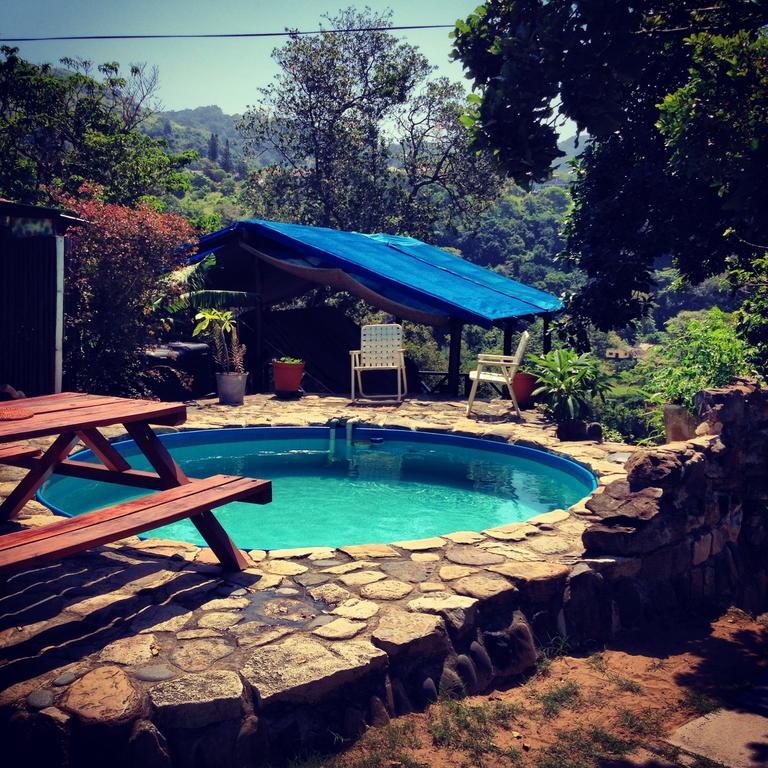 Jungle Monkey Backpackers Hostel Port Saint Johnʼs Δωμάτιο φωτογραφία
