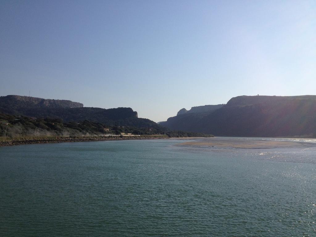 Jungle Monkey Backpackers Hostel Port Saint Johnʼs Εξωτερικό φωτογραφία