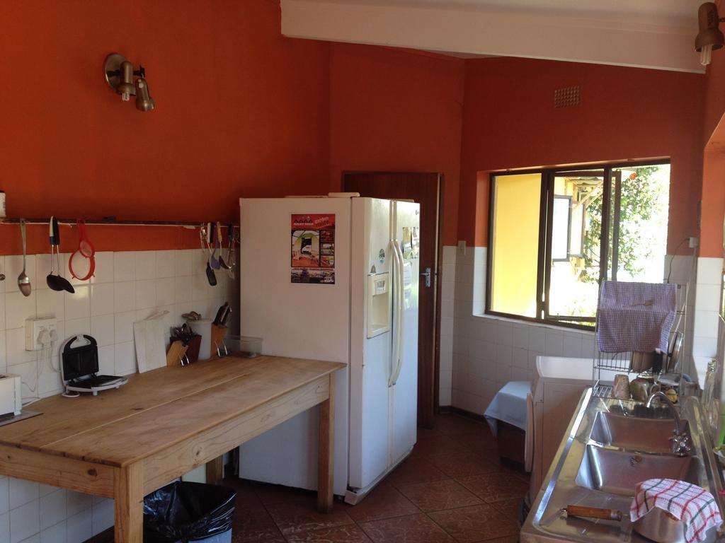Jungle Monkey Backpackers Hostel Port Saint Johnʼs Εξωτερικό φωτογραφία