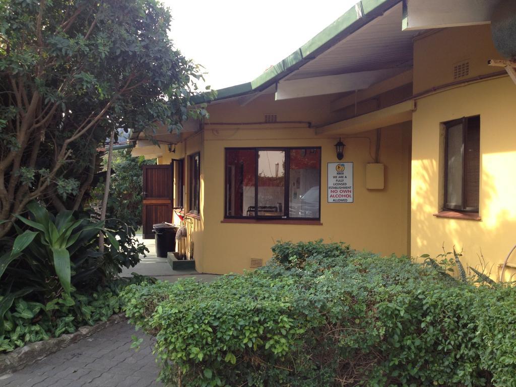 Jungle Monkey Backpackers Hostel Port Saint Johnʼs Δωμάτιο φωτογραφία
