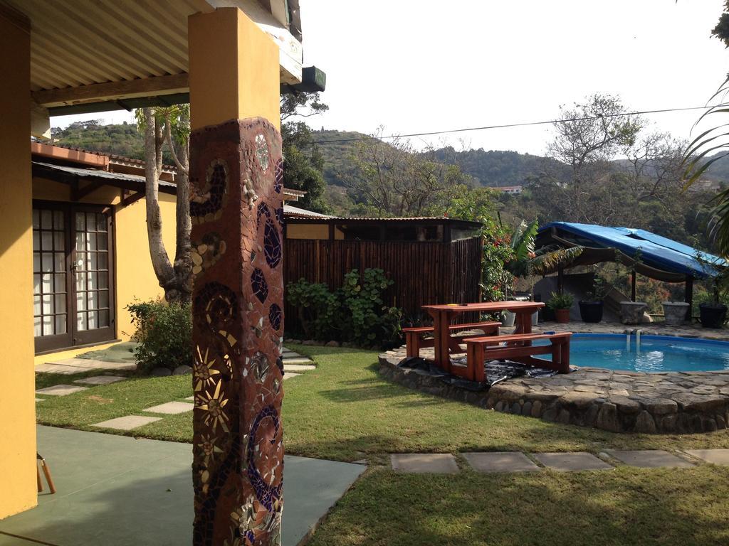 Jungle Monkey Backpackers Hostel Port Saint Johnʼs Δωμάτιο φωτογραφία