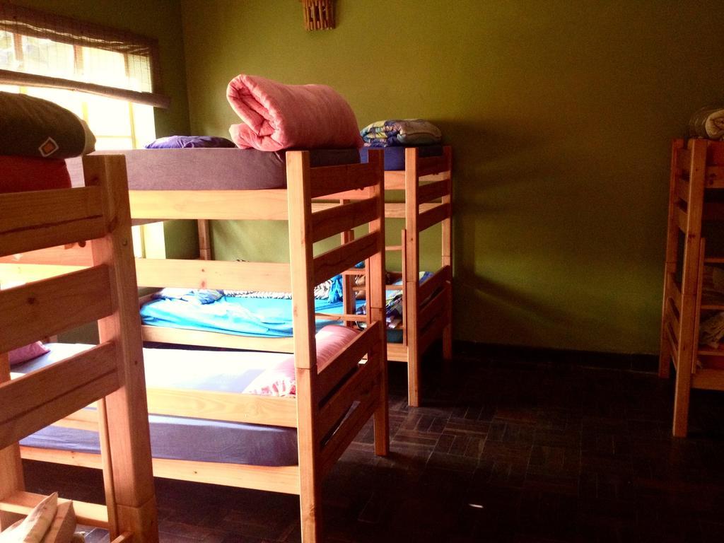 Jungle Monkey Backpackers Hostel Port Saint Johnʼs Δωμάτιο φωτογραφία