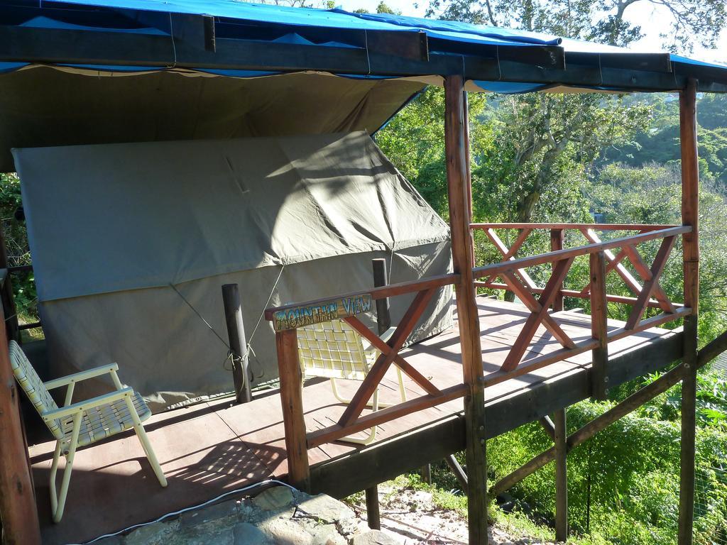 Jungle Monkey Backpackers Hostel Port Saint Johnʼs Δωμάτιο φωτογραφία