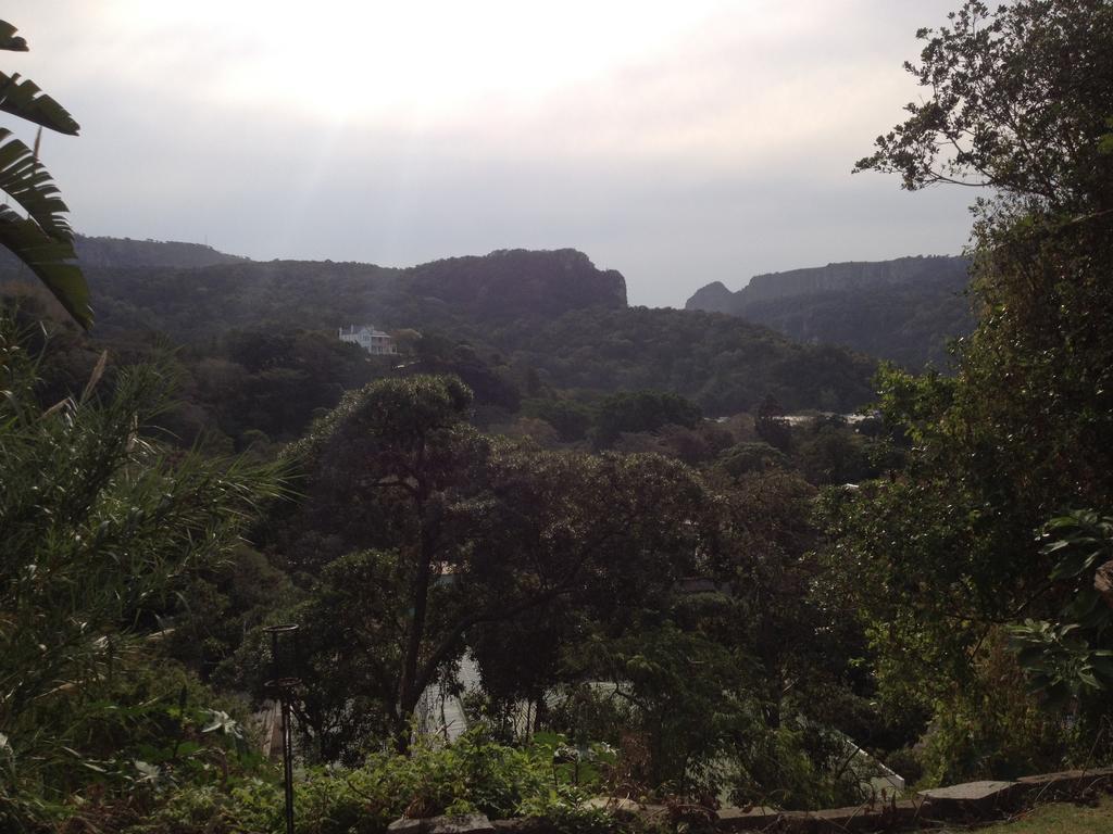 Jungle Monkey Backpackers Hostel Port Saint Johnʼs Δωμάτιο φωτογραφία