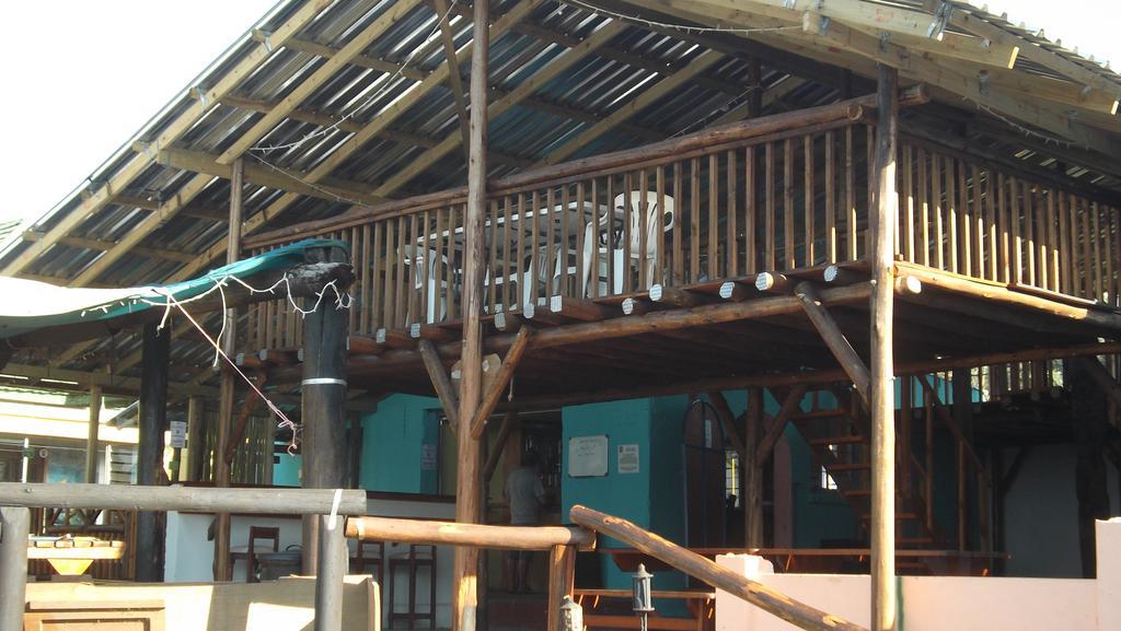 Jungle Monkey Backpackers Hostel Port Saint Johnʼs Εξωτερικό φωτογραφία