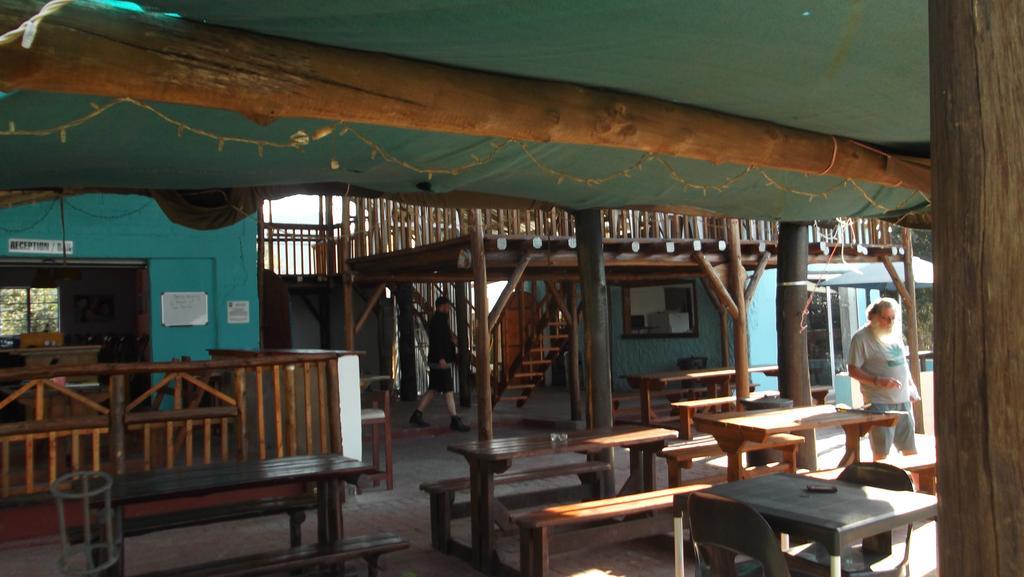 Jungle Monkey Backpackers Hostel Port Saint Johnʼs Εξωτερικό φωτογραφία