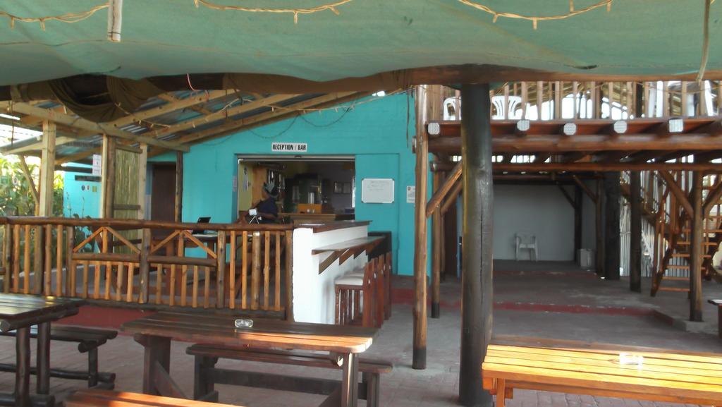 Jungle Monkey Backpackers Hostel Port Saint Johnʼs Εξωτερικό φωτογραφία